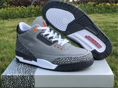 Air Jordan 3 (Collection 1)